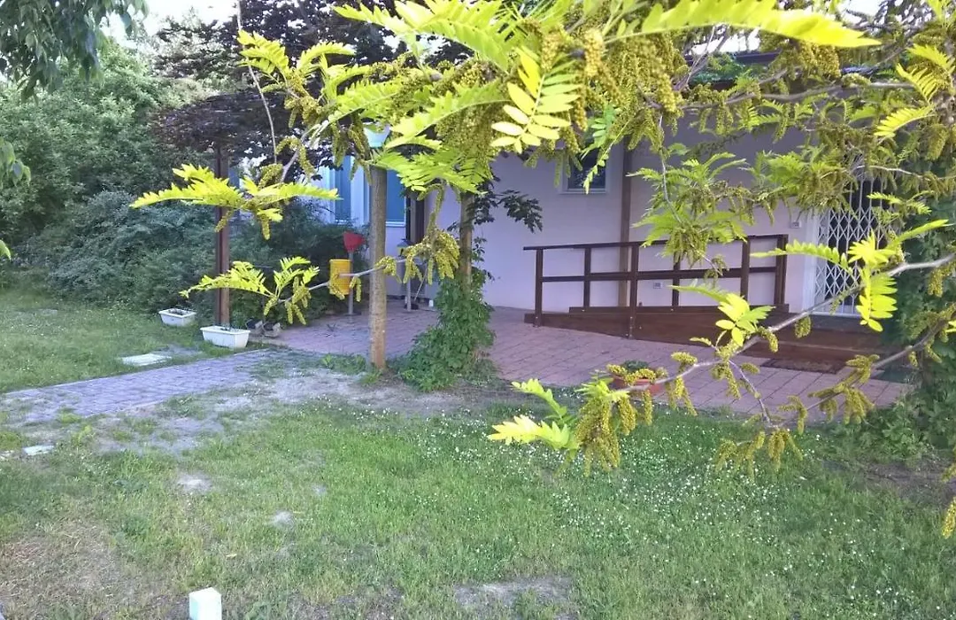 Rose Canine B&B-1