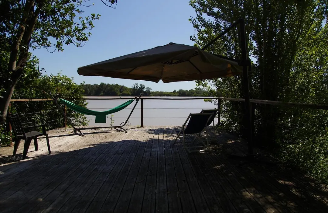 Cabane Bambou-1