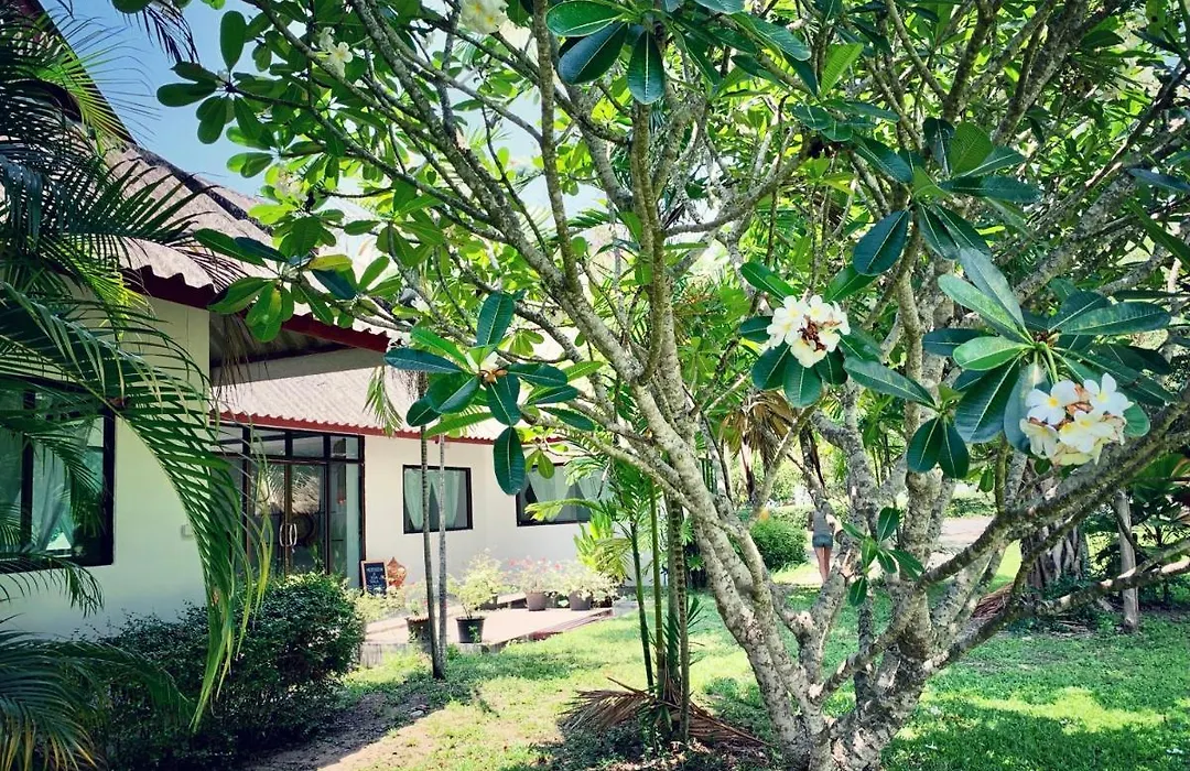 La Maison - Chiangmai-1