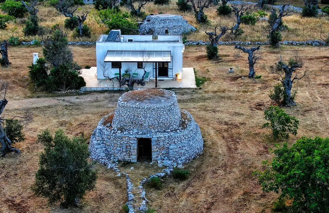 Casa Barzo - Surrounded By Olive Trees-1