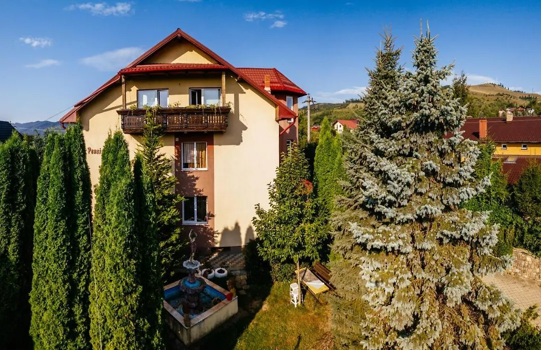 Pensiunea Bucovina-1