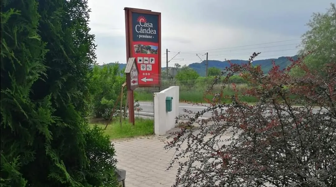 Casa Candea Sighisoara-1