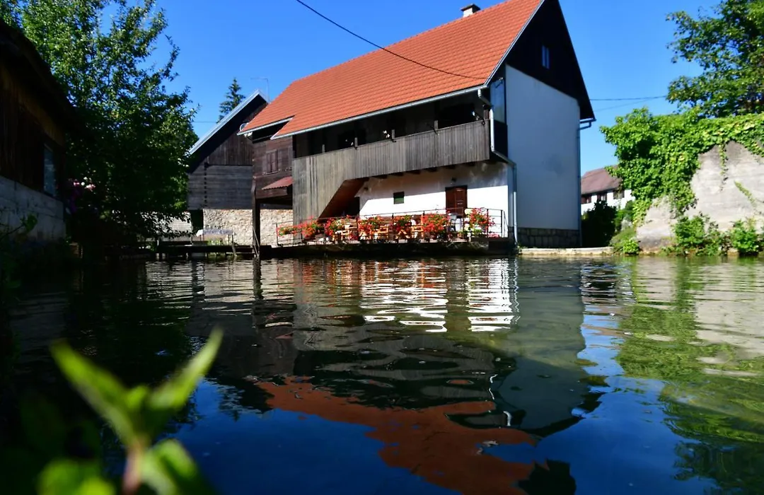 Guest House Vuceta-1