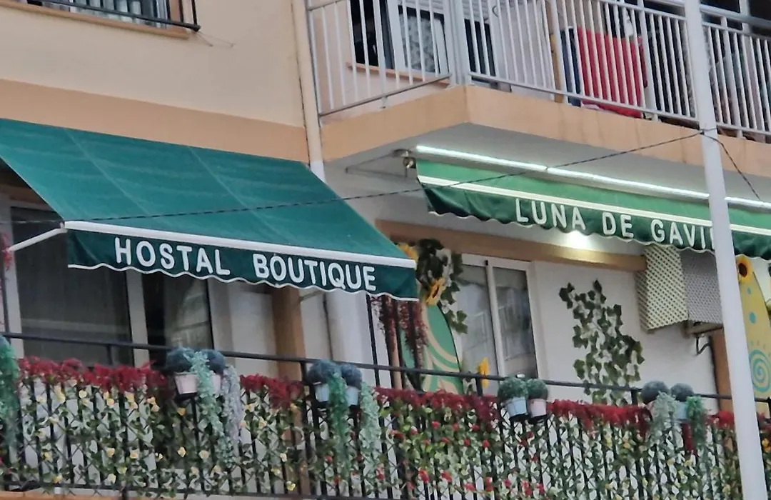 Hostal Boutique Luna de Gavín-1