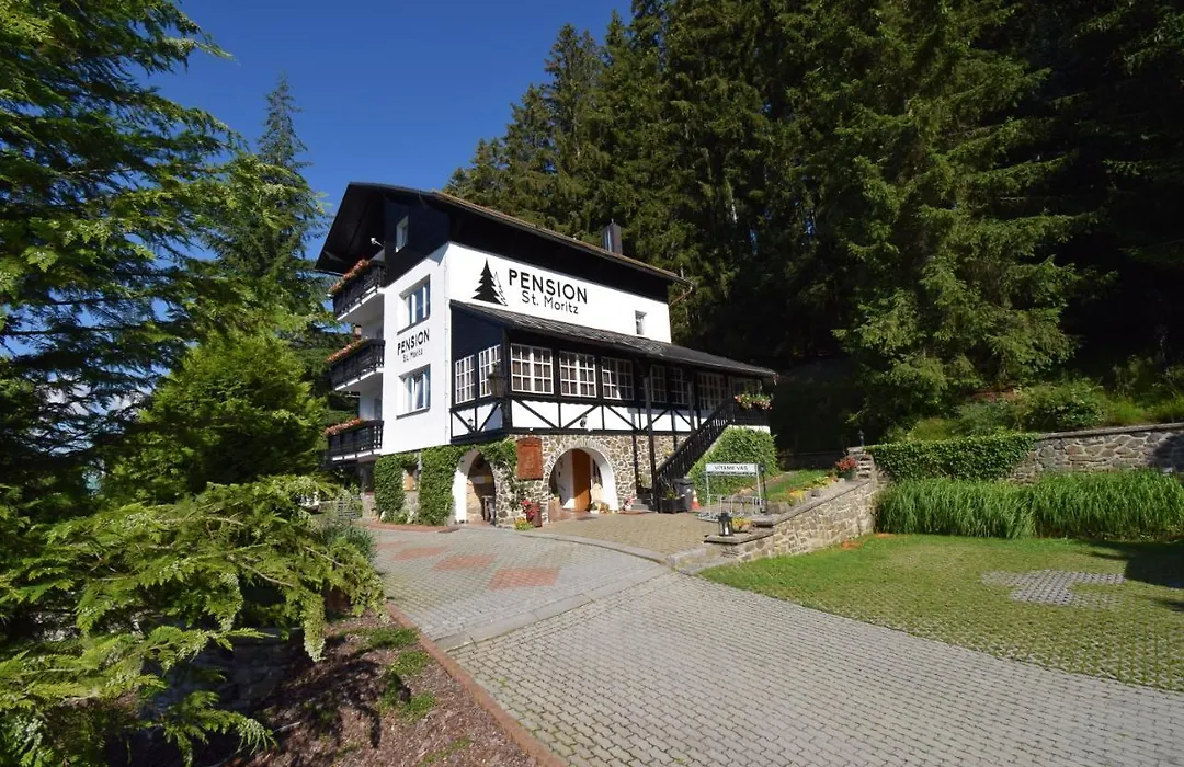 Pension St. Moritz-1