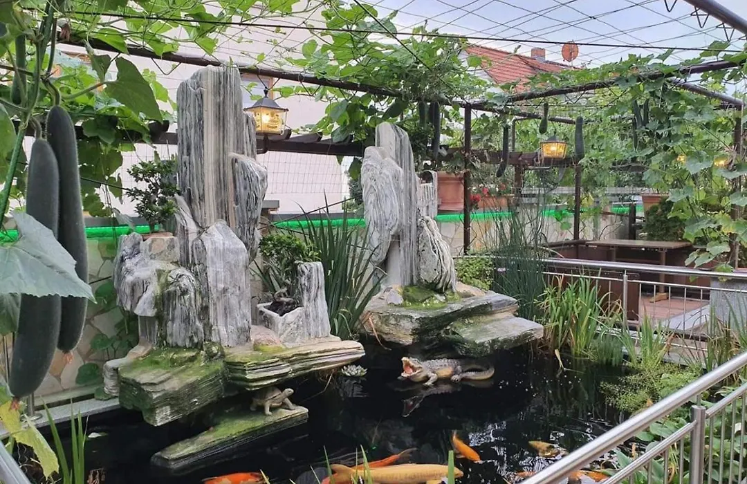 Chau-Asiatisches-Restaurant und Pension-1