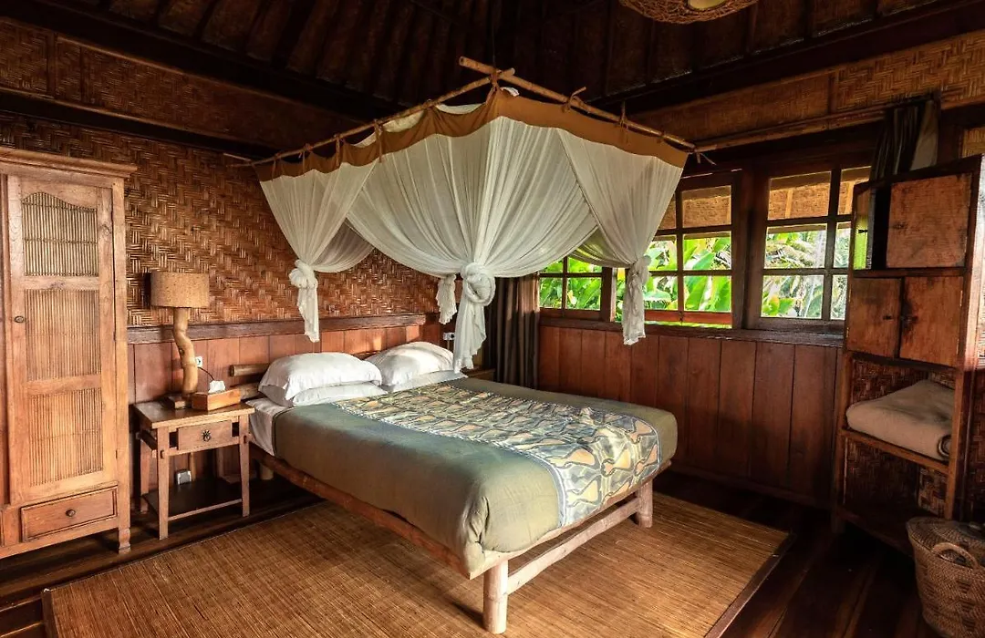 Sarinbuana Eco Lodge-1