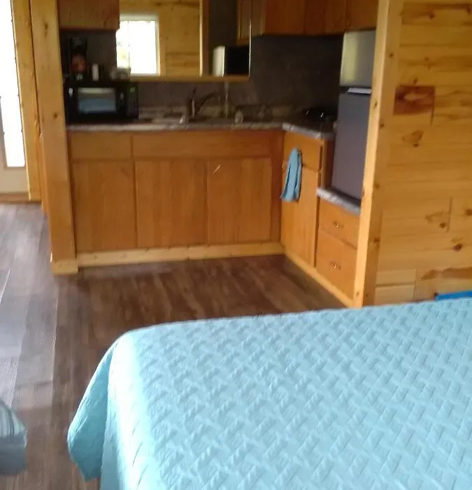 Peaceful Valley Haven Tree House-1