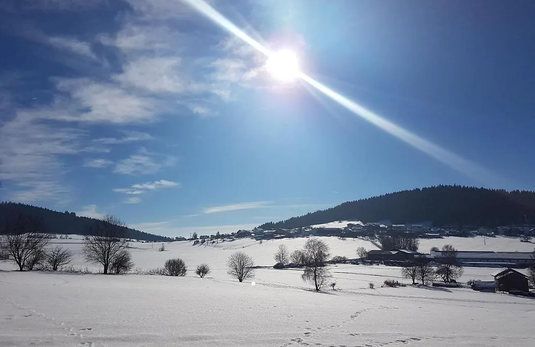 Pension Zum Schmidbäcker-1