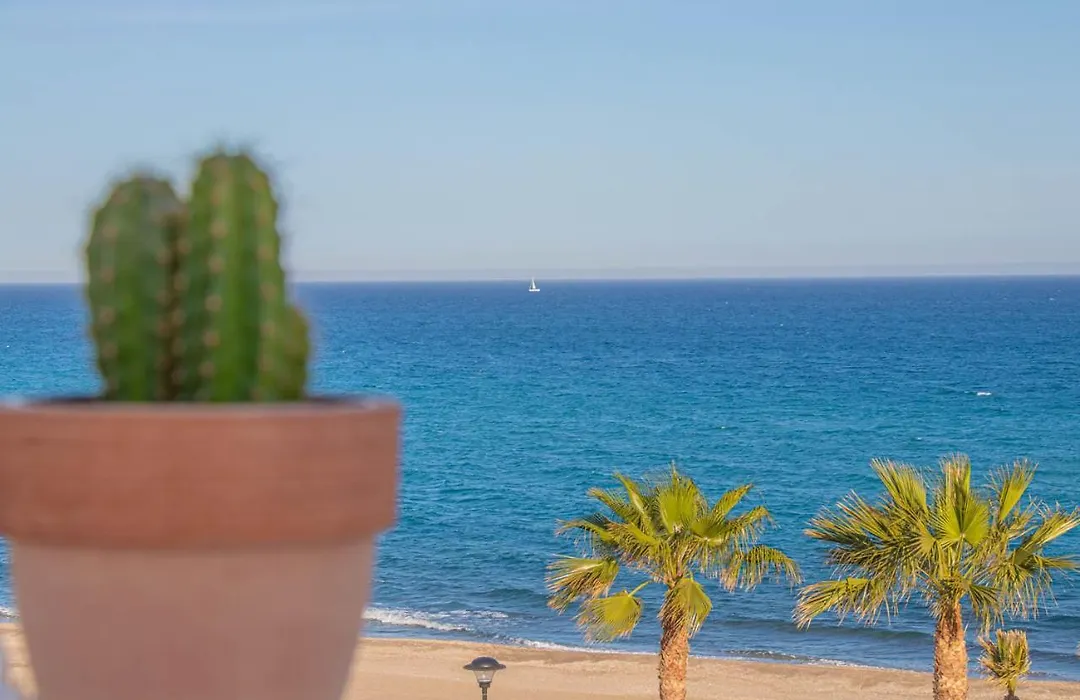 La Esperanza Beach- Zona Pubs Y Restaurantes-1