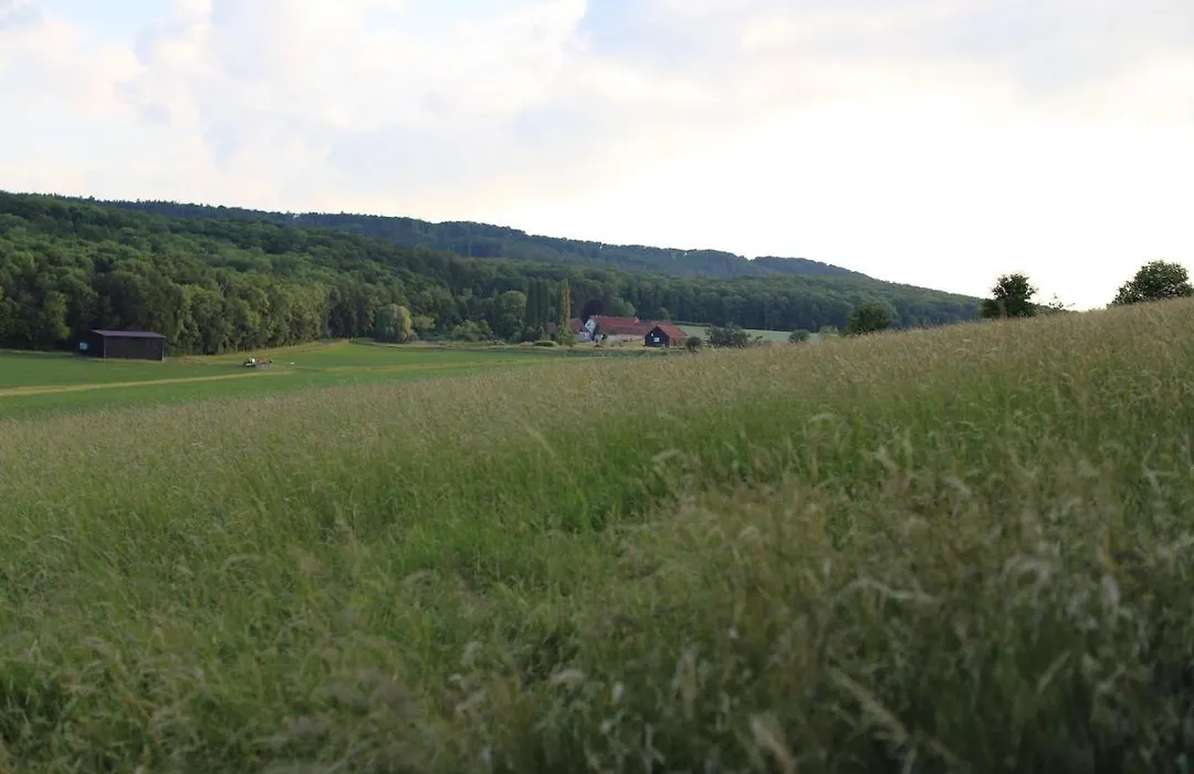 Landhaus Am Sonnenberg-1