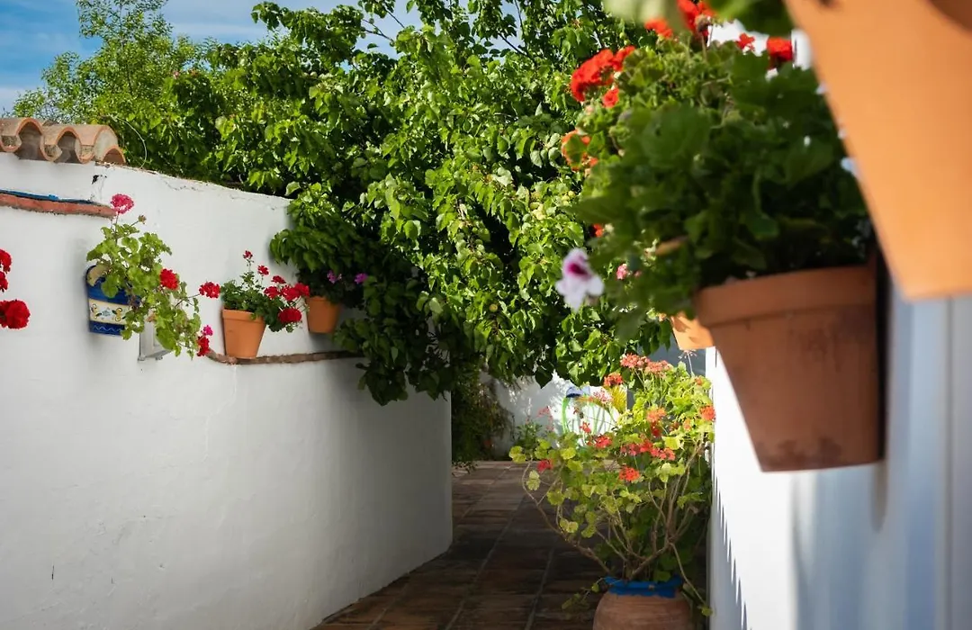 Hostal Cabo Roche-1