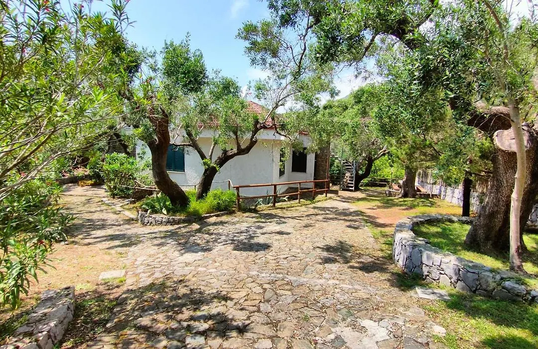 Villa Irma-1