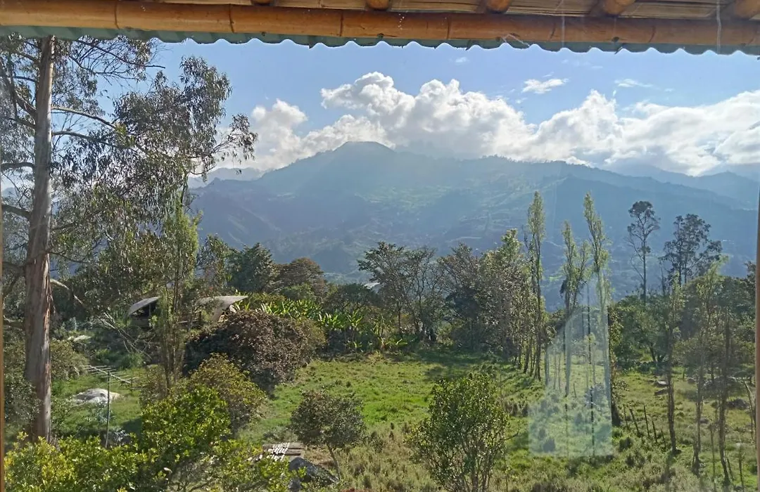 Hostal Casa De Guadua/ The Bamboo House-1