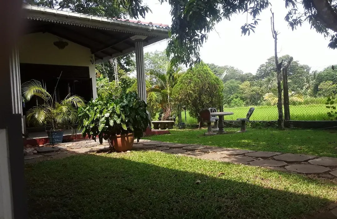 Hansika Guest Inn-1