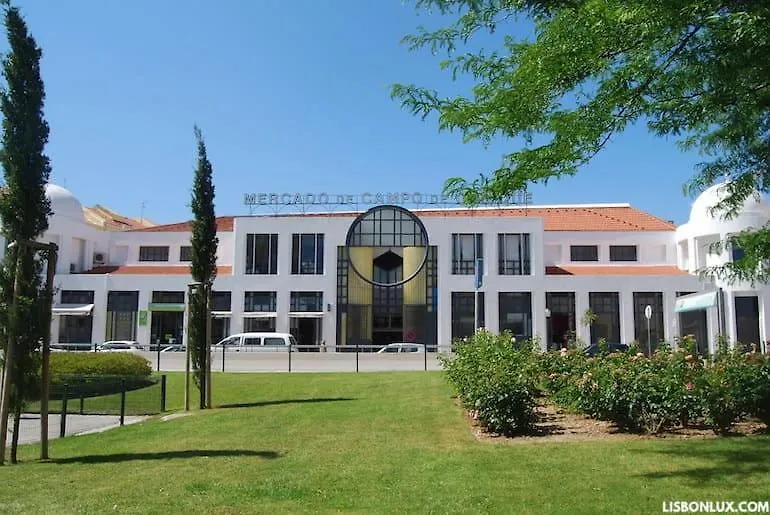 Campo De Ourique Rooms-1