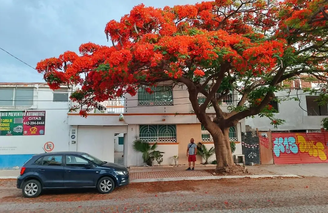 Casa Flamboyant-1
