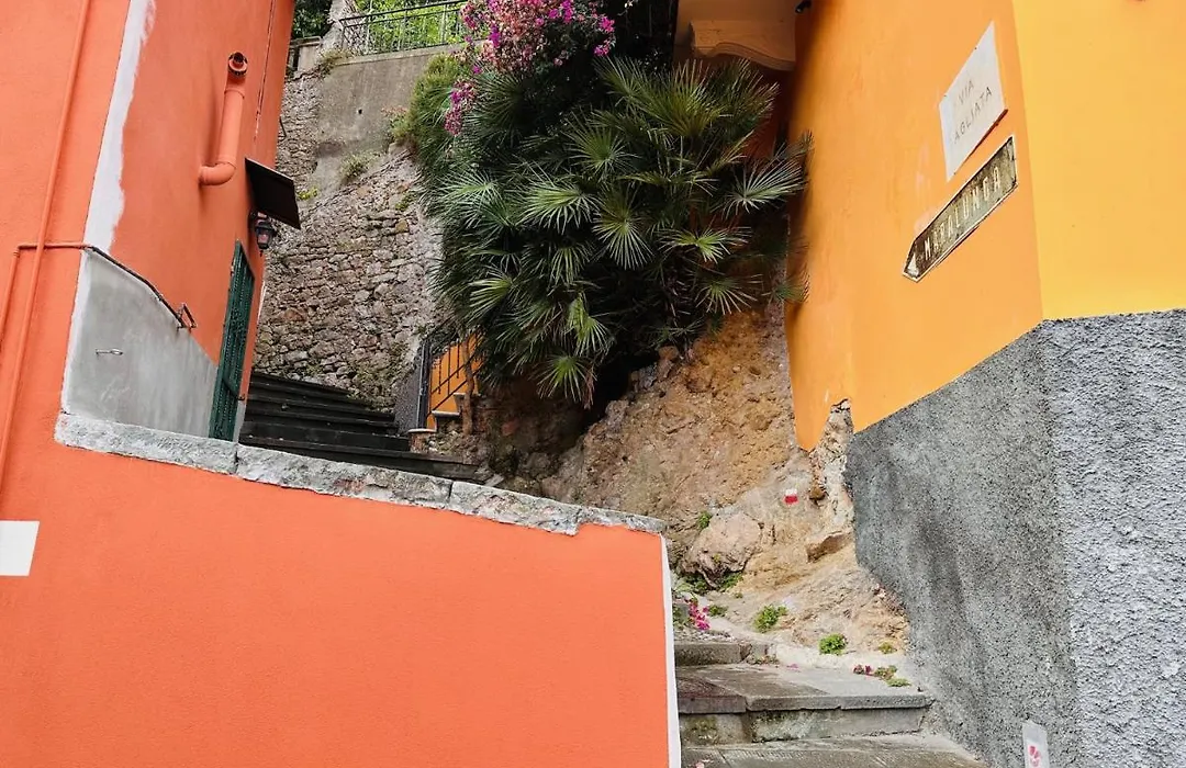 Casa Leone-1