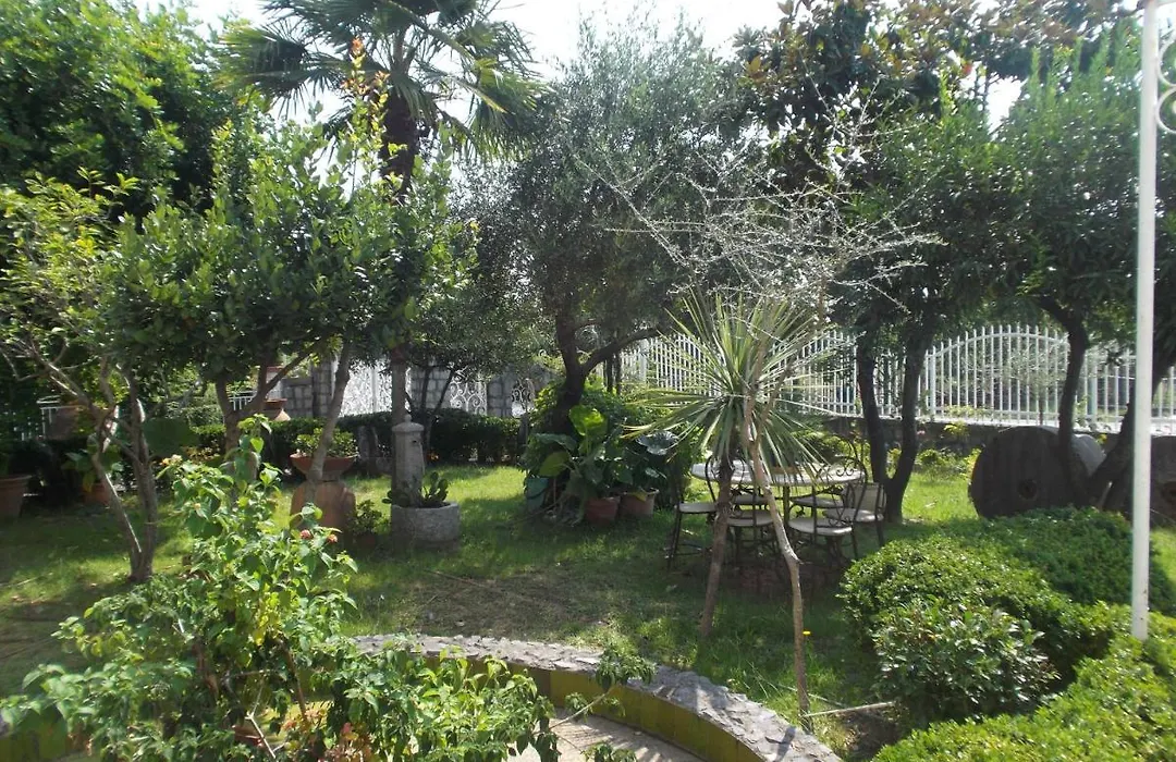 Le Magnolie-1