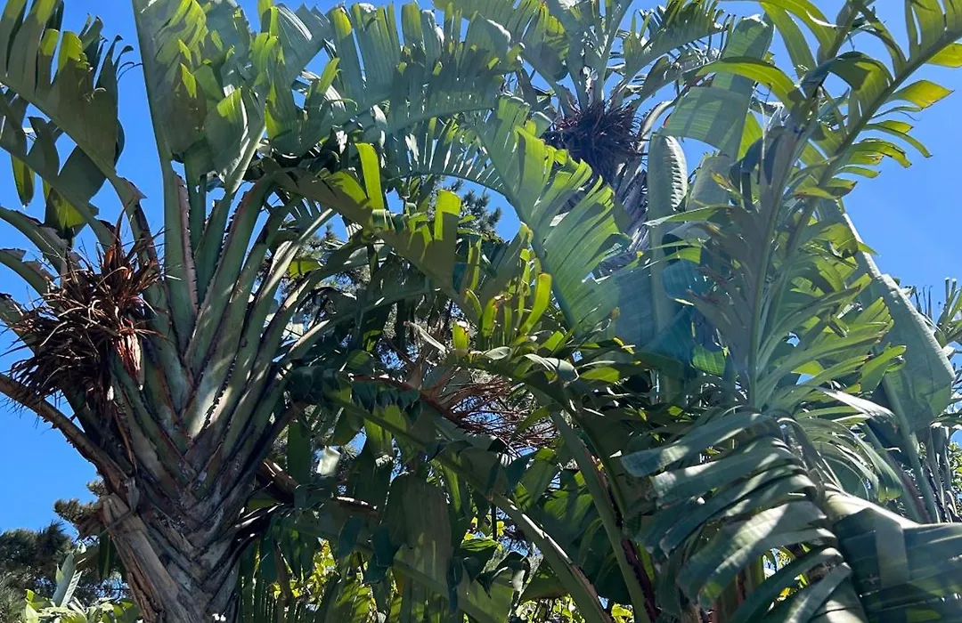 Aloha Lodge-1
