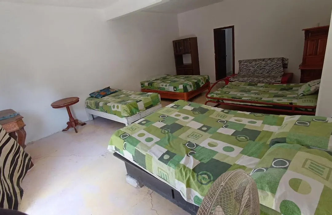 Casa la jungla-1