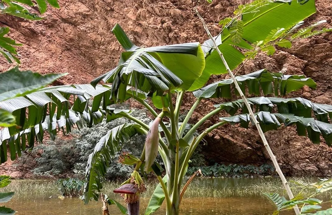 Atlas Wadi Shab-1