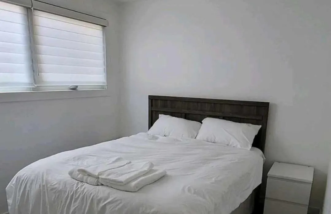 Cozy-1