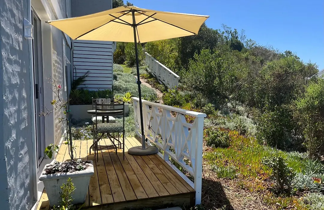The Lily Suite-1