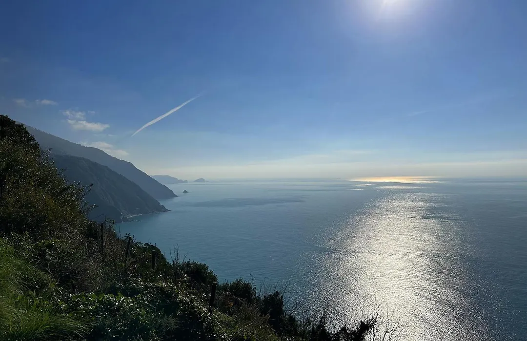 La Baia Di Rio-1
