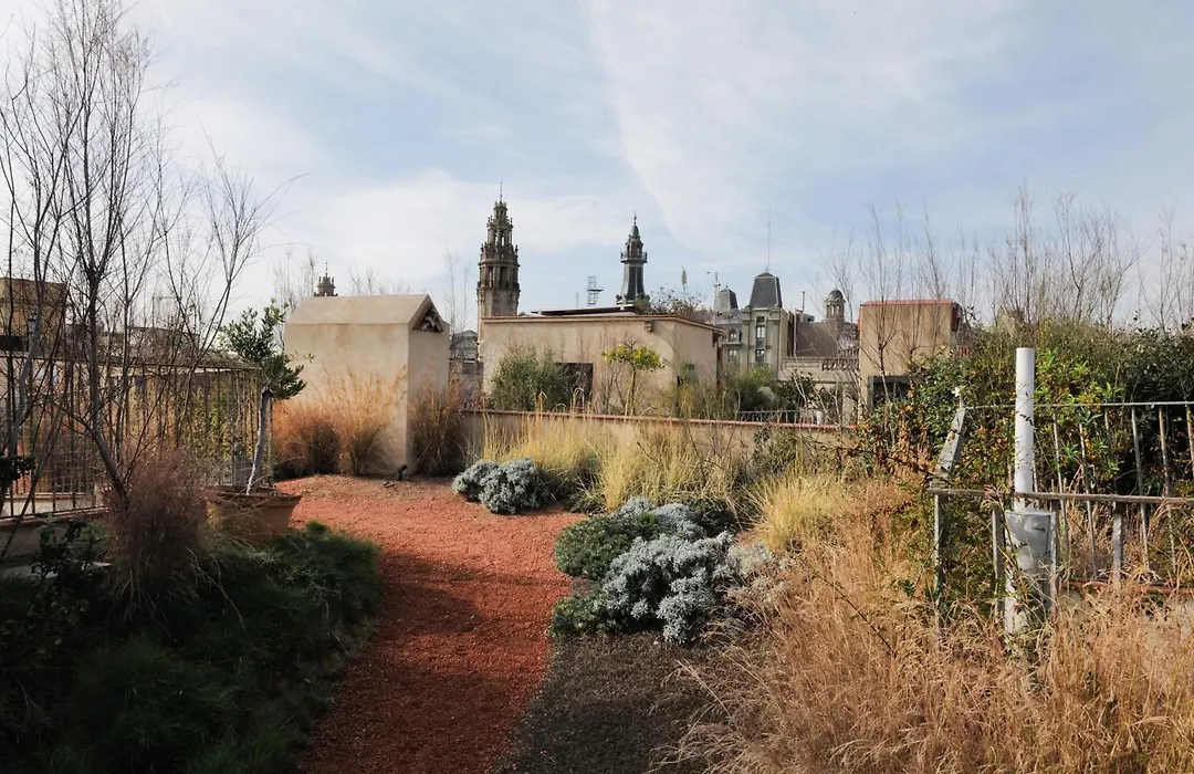 Hostal Porxos Garden-1