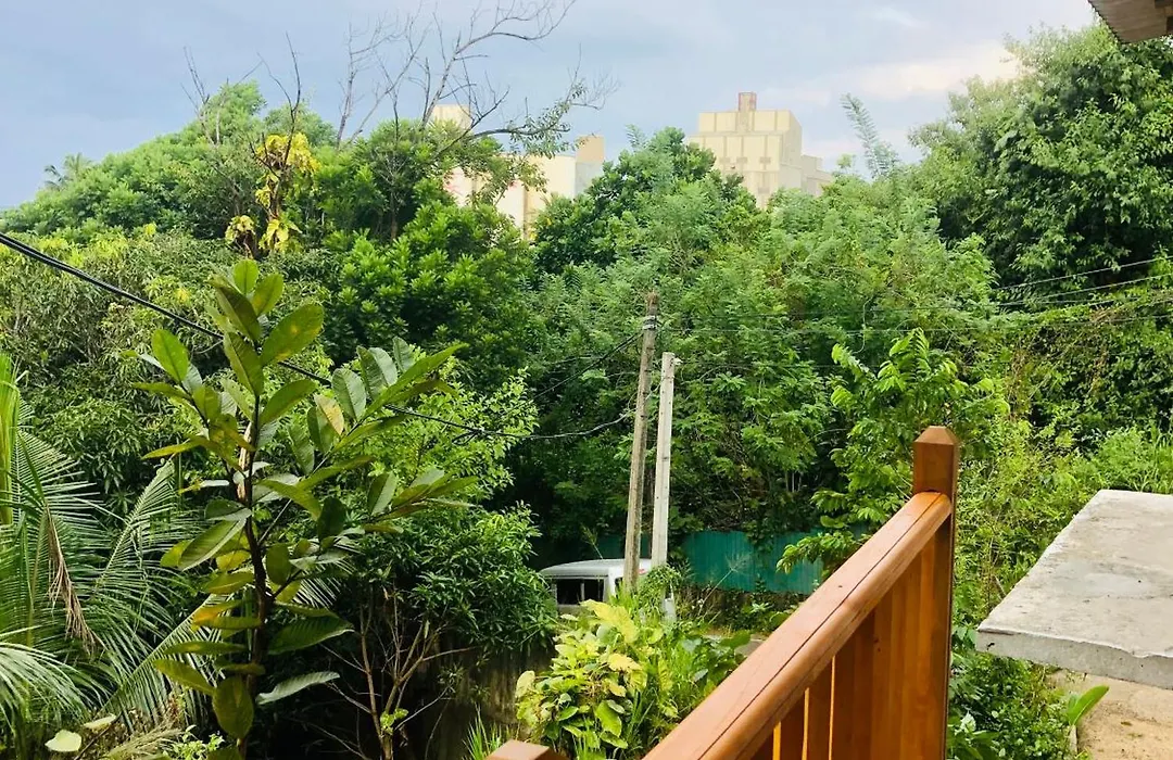 Jungle Beach Inn-1