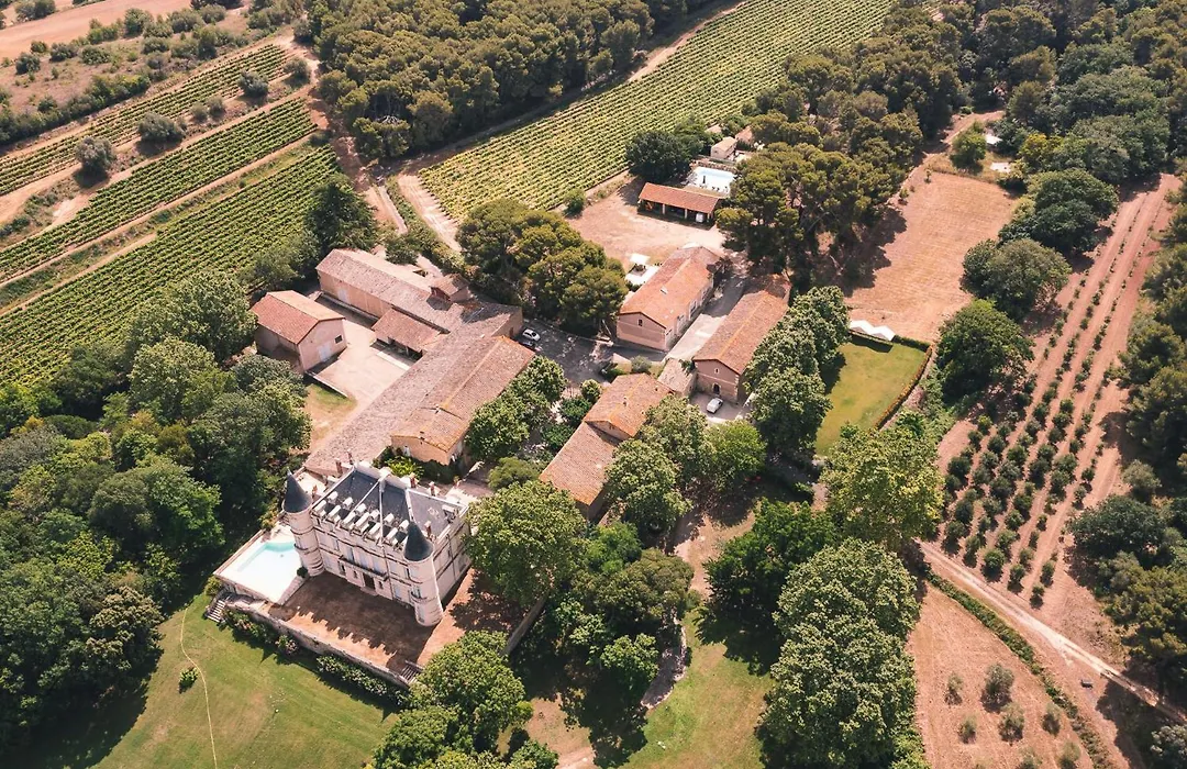 Chateau Saint Martin De Graves-1