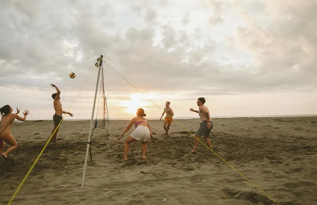 The Nordic House-1