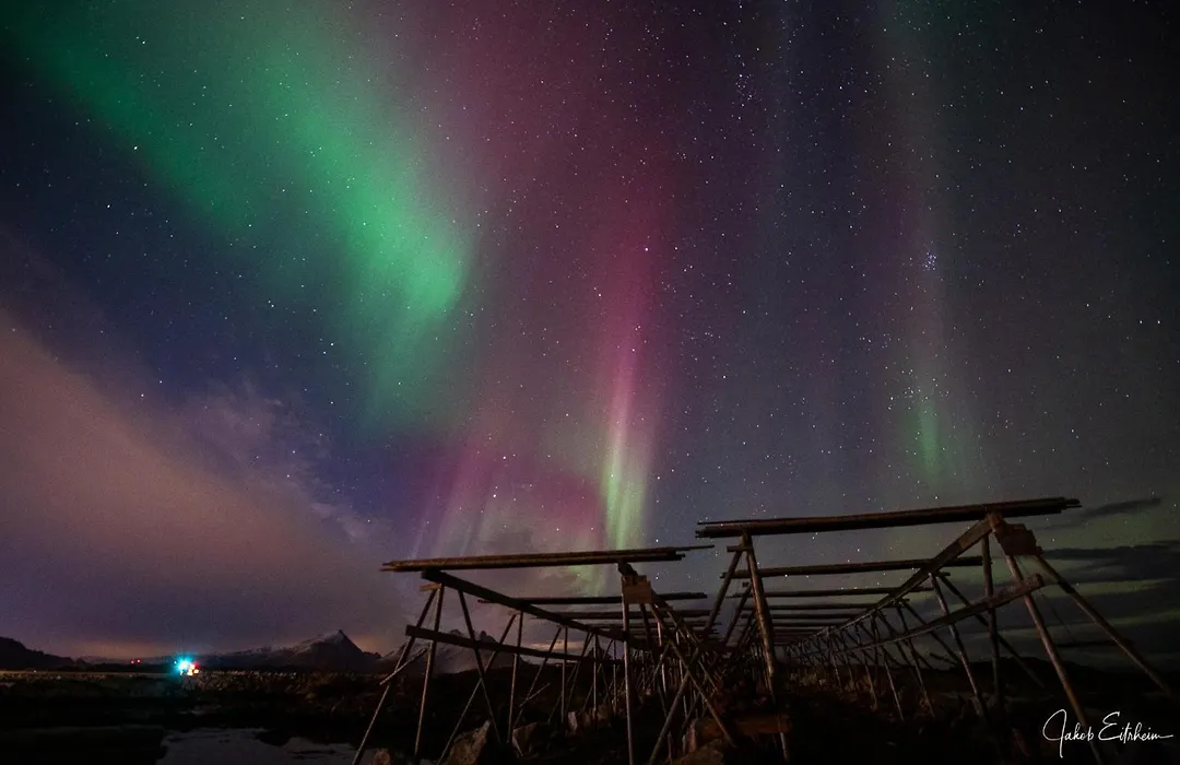 Fish Factory -The Real Lofoten Experience-1