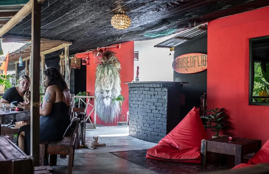 House Of Lion Hostel-1