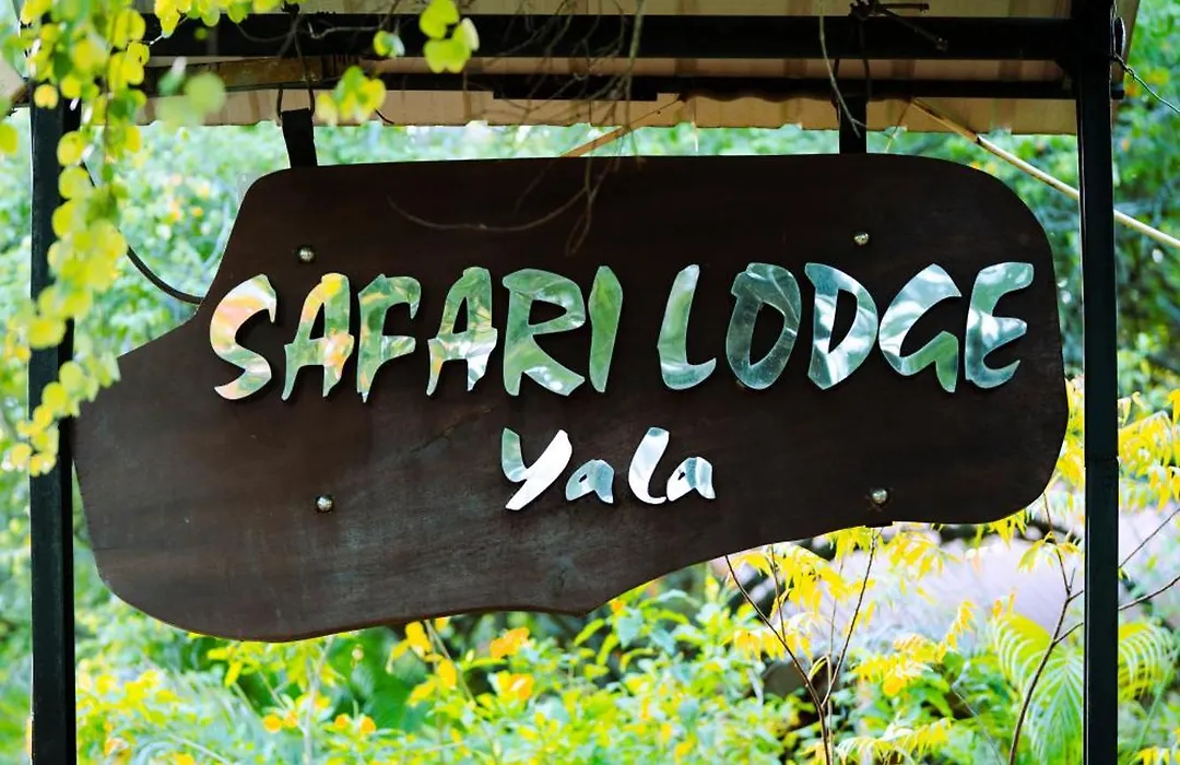 Safari Lodge Yala-1