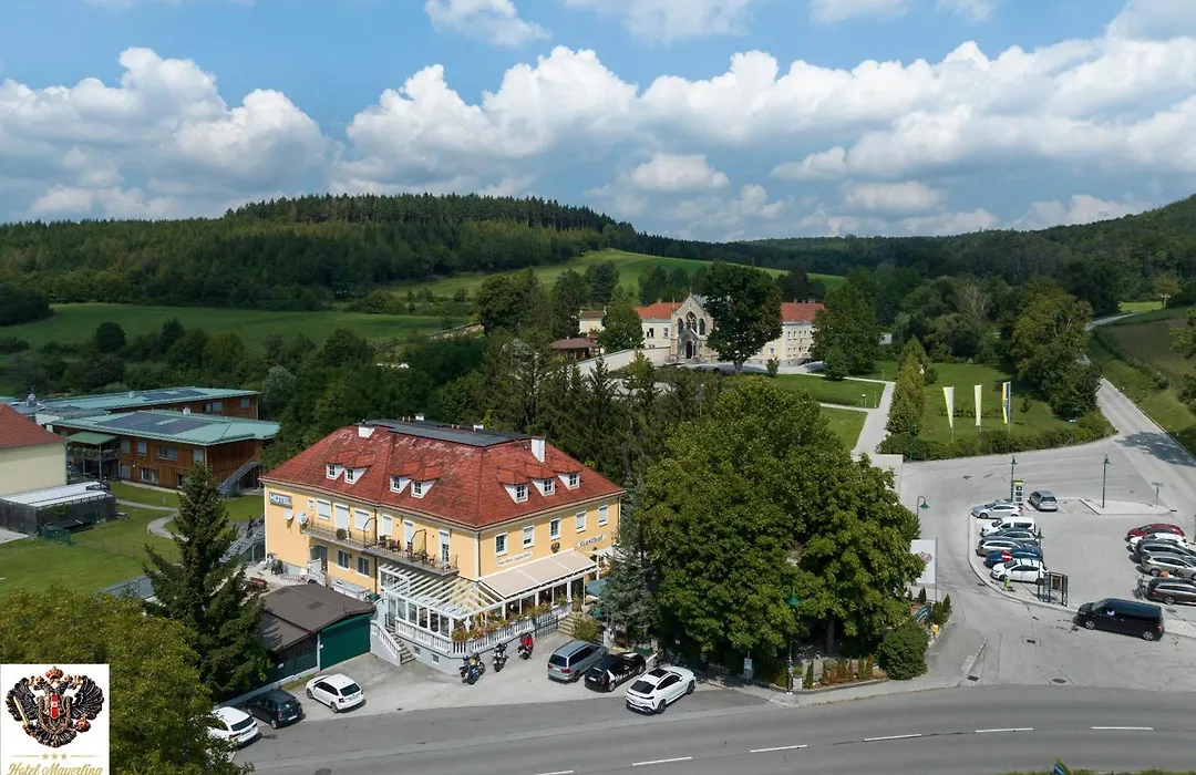 Hotel Mayerling (Adults Only)-1