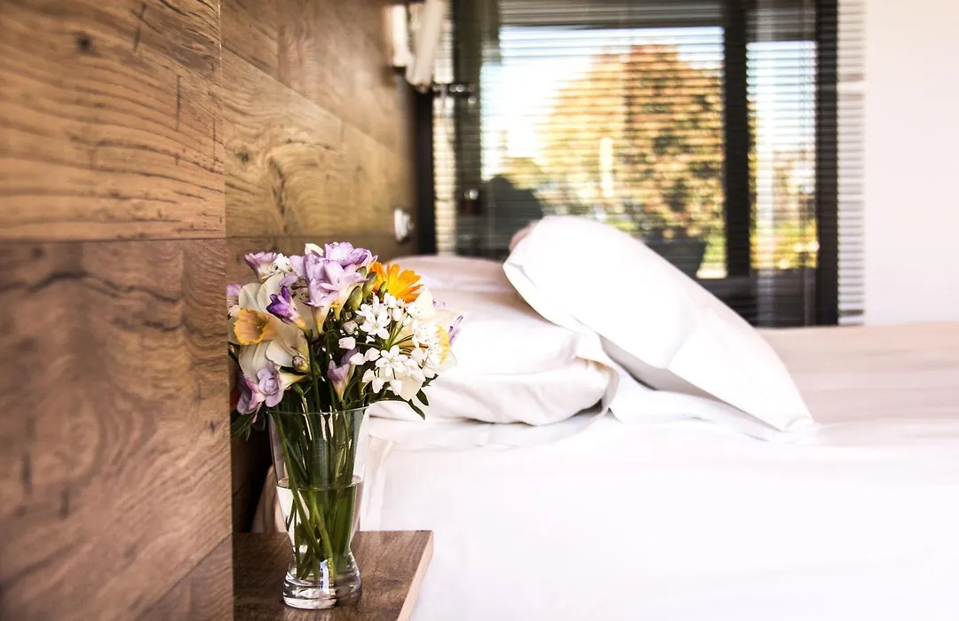 Agroturismo Haitzalde B&B - Adults Only-1
