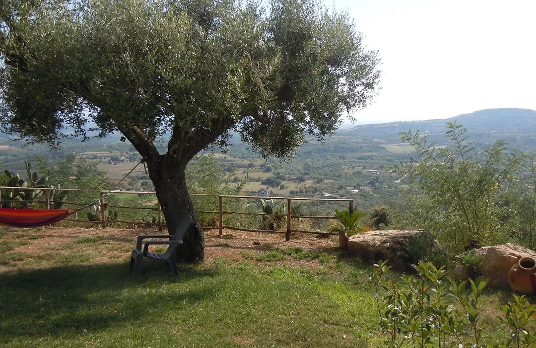 Il colle degli ulivi-1