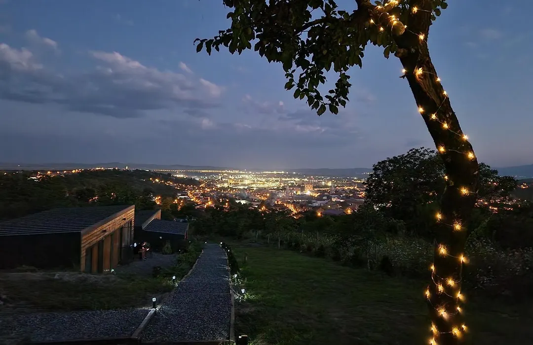 Pensiunea Bella Vista Turda-1