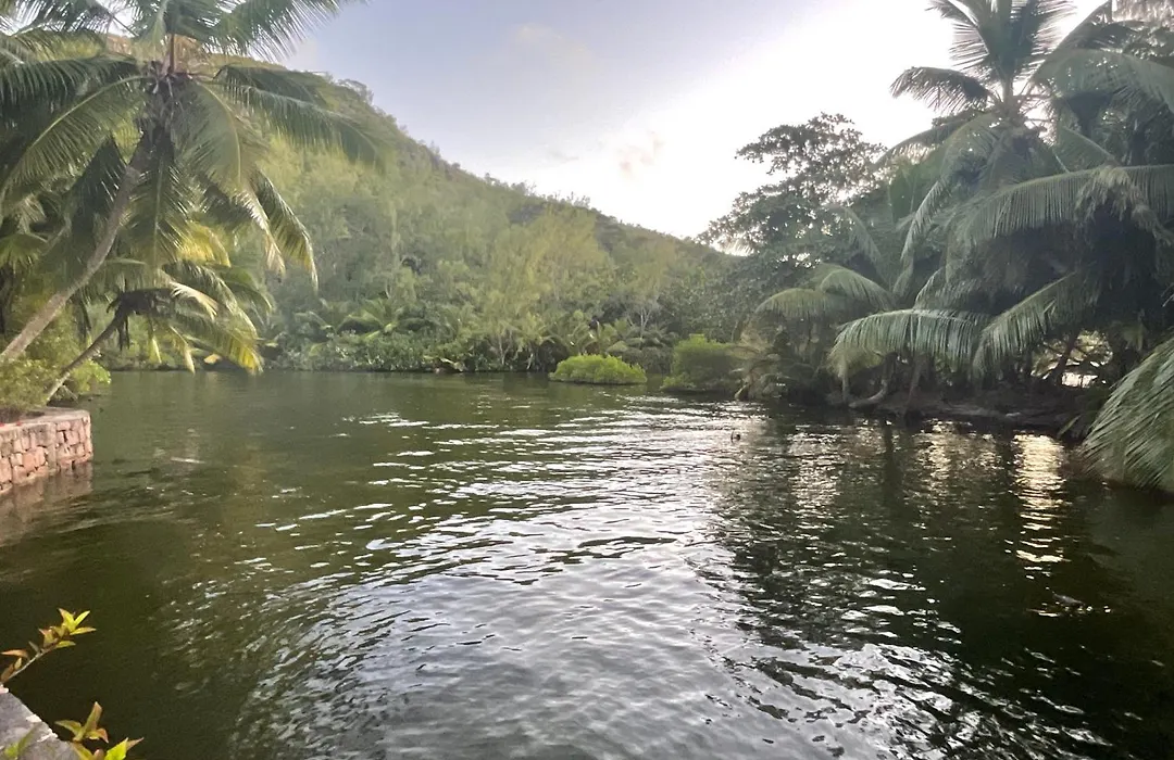 Le Chevalier Bay Guesthouse-1