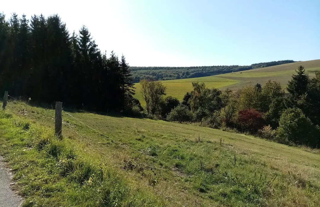 Pension Hubertus-1