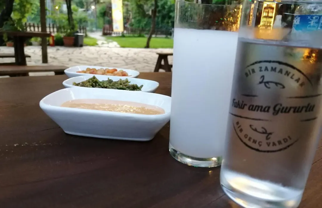 Simurg Evleri Olympos-1