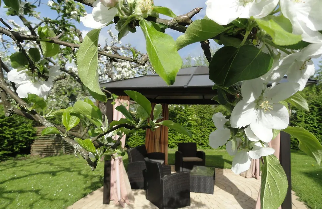Gasthof Feichter-1