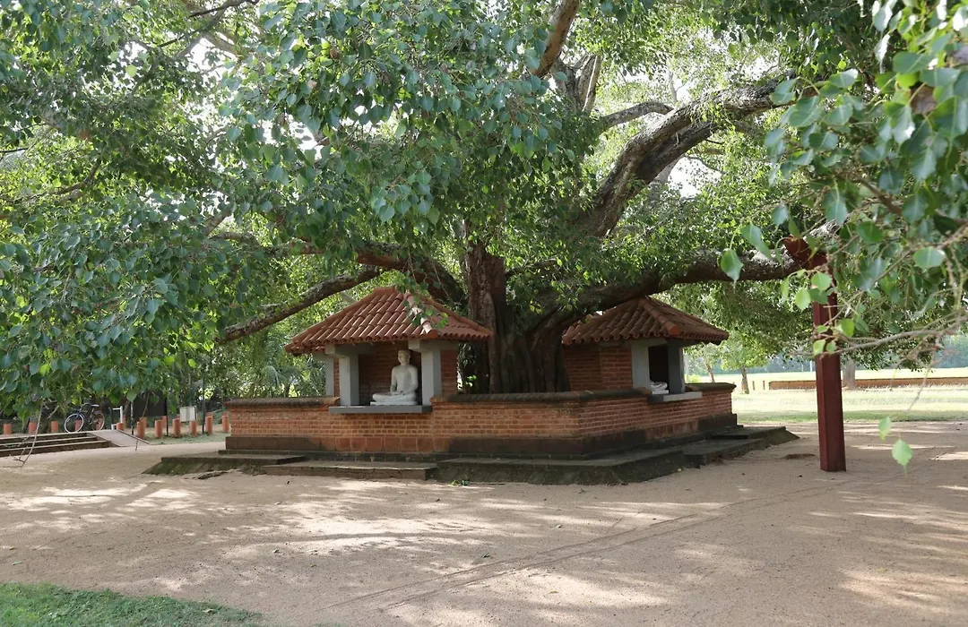 The Yala City Guest House-1