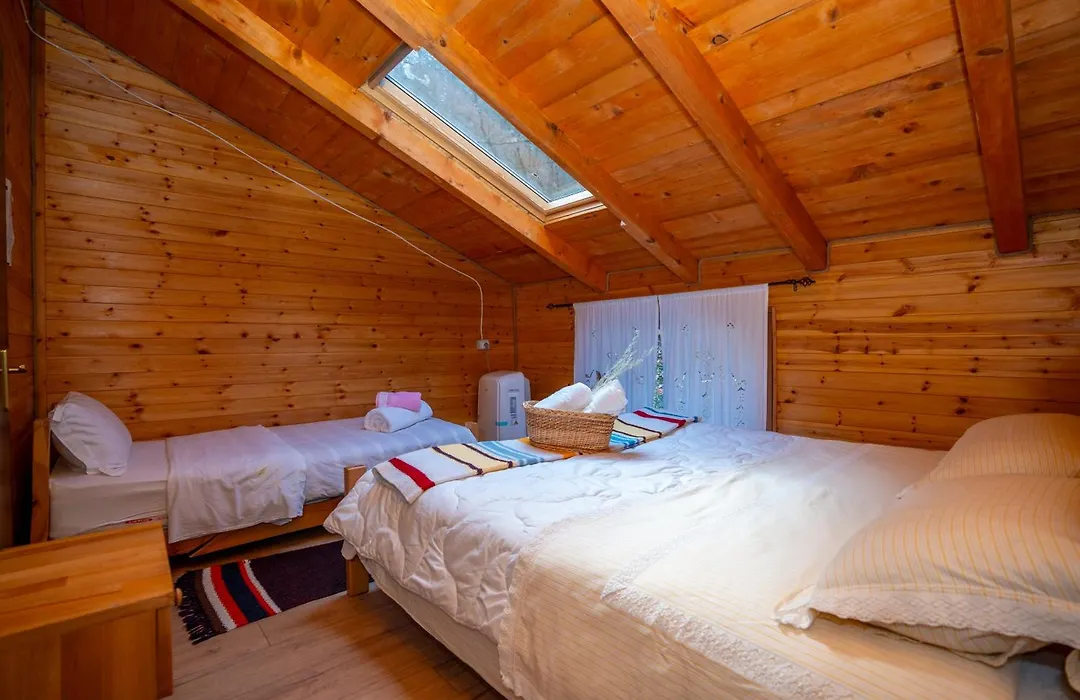 Bee Eco Guest House-1