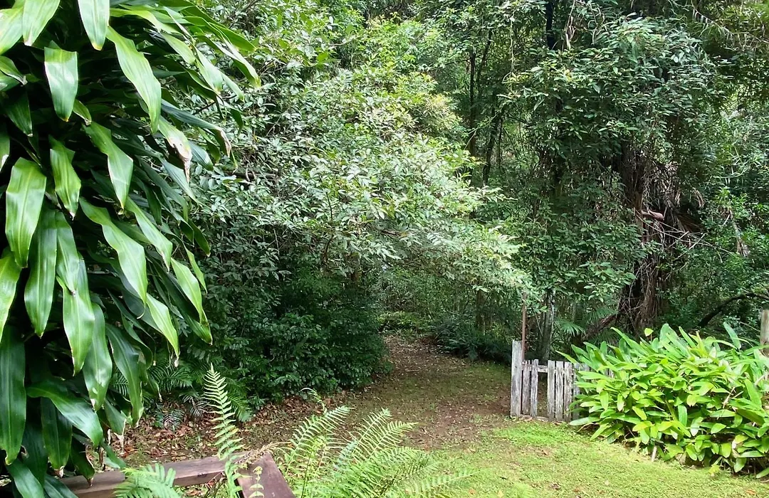 Palmwoods Eco Escape-1