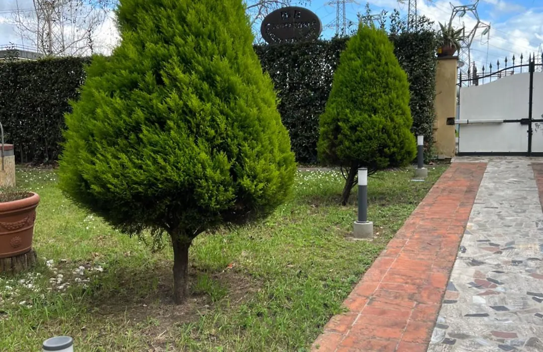 Affittacamere D’annunzio-1