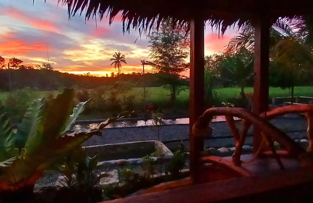 Tropical Jungle Lodge & Jungle Trekking-1