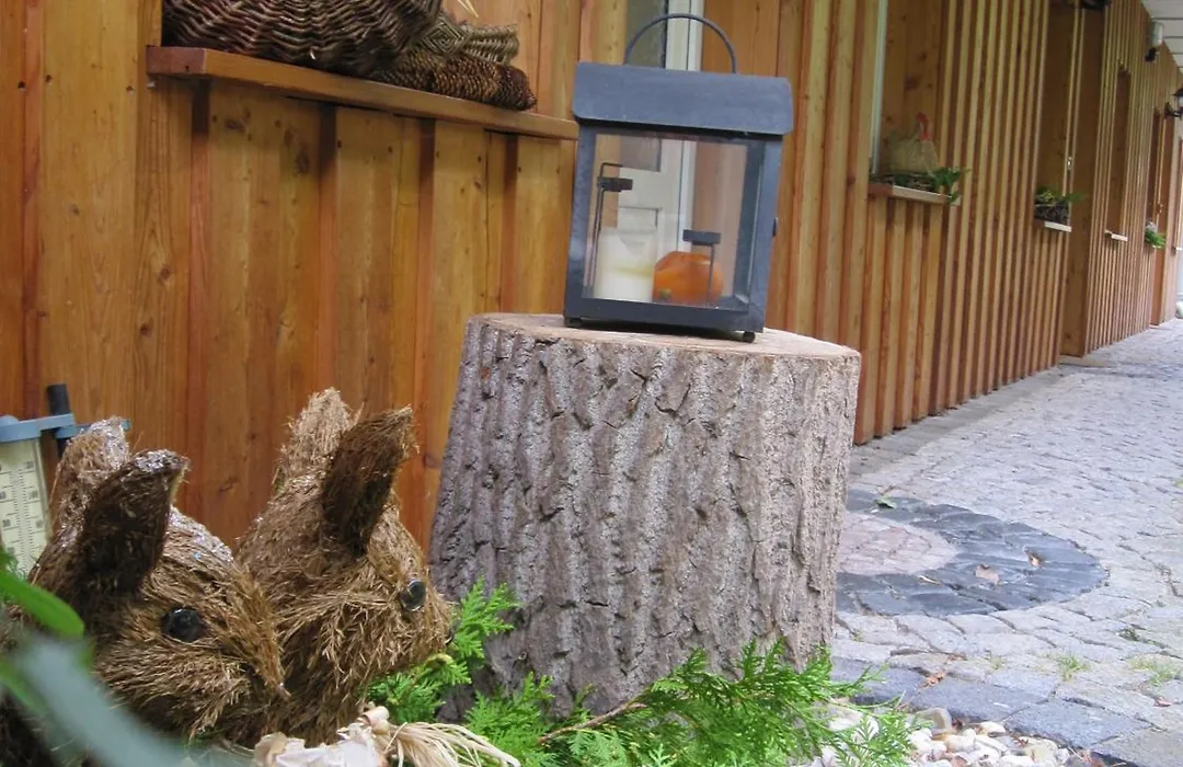 Urlaubspension 'Hohes Rott' und Apartmenthaus-1